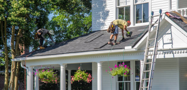 Best Metal Roofing Contractor  in Ashville, AL